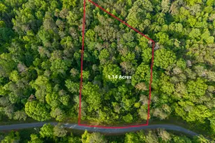 Lot 45 Hilton Dr, Ellijay, GA 30540 - Photo 1