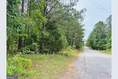 0 Lee Lane #LOT 1, Greenville, GA 30222 - Photo 3