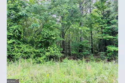 0 Lee Lane #LOT 2, Greenville, GA 30222 - Photo 3