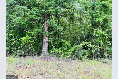 0 Lee Lane, Greenville, GA 30222 - Photo 5
