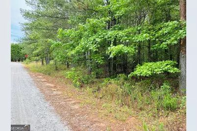0 Lee Lane, Greenville, GA 30222 - Photo 11