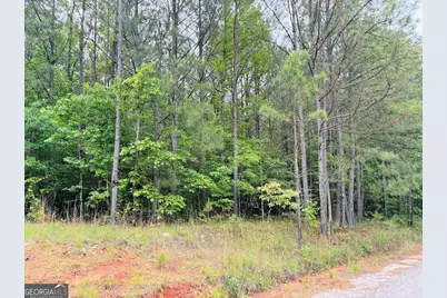 0 Lee Lane, Greenville, GA 30222 - Photo 9