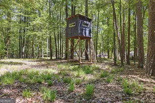 153 Hoot Owl Ln, Eatonton, GA 31024 - Photo 41
