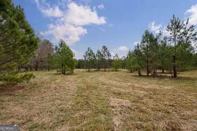 Tract 2 High Shoals Road, Bishop, GA 30621 - Photo 13