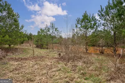 Tract 2 High Shoals Road, Bishop, GA 30621 - Photo 17