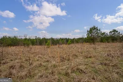 Tract 3 High Shoals Road, Bishop, GA 30621 - Photo 13