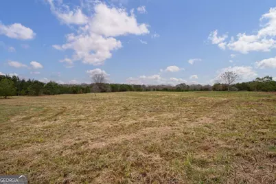 Tract 3 High Shoals Road, Bishop, GA 30621 - Photo 5