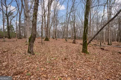Tract 3 High Shoals Road, Bishop, GA 30621 - Photo 3