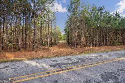 Tract 3 High Shoals Road, Bishop, GA 30621 - Photo 17