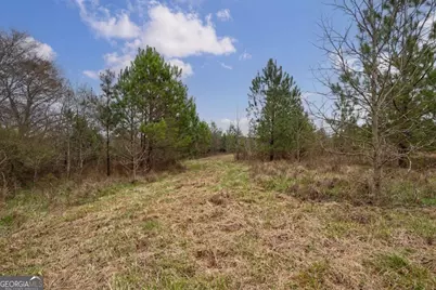Tract 3 High Shoals Road, Bishop, GA 30621 - Photo 15