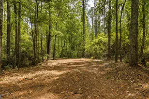 601 Bluff Road N, White Oak, GA 31568 - Photo 47