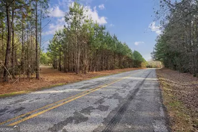 Tract 1-A High Shoals Road, Bishop, GA 30621 - Photo 15