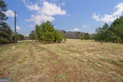 Tract 1-A High Shoals Road, Bishop, GA 30621 - Photo 7