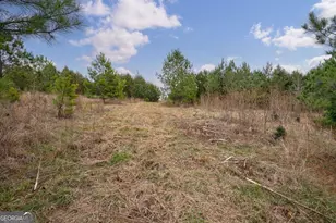 Tract 1-A High Shoals Rd, Bishop, GA 30621 - Photo 1