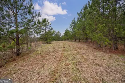 Tract 1-B High Shoals Road, Bishop, GA 30621 - Photo 9