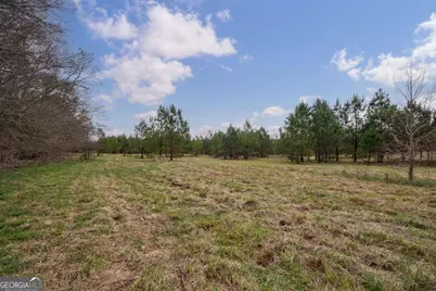 Tract 1-B High Shoals Road, Bishop, GA 30621 - Photo 7