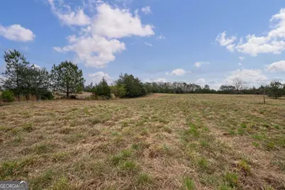Tract 1-B High Shoals Road, Bishop, GA 30621 - Photo 5