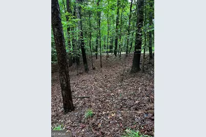 1.08 Acres 00 Lazy River Lane, Ellijay, GA 30540 - Photo 3