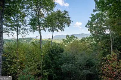 43 Tunica Lane, Ellijay, GA 30540 - Photo 29