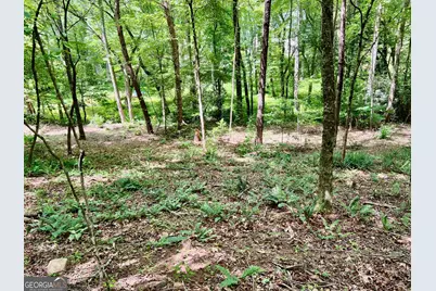 Lot 3 Lower Fox Trail, Blairsville, GA 30512 - Photo 7