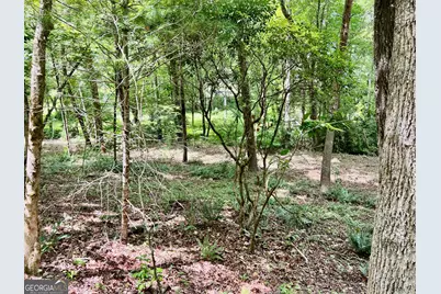Lot 3 Lower Fox Trail, Blairsville, GA 30512 - Photo 5