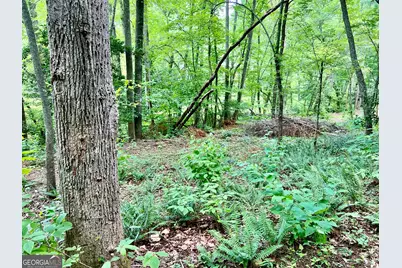 Lot 3 Lower Fox Trail, Blairsville, GA 30512 - Photo 13