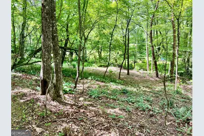 Lot 3 Lower Fox Trail, Blairsville, GA 30512 - Photo 1
