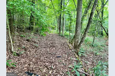 Lot 3 Lower Fox Trail, Blairsville, GA 30512 - Photo 9