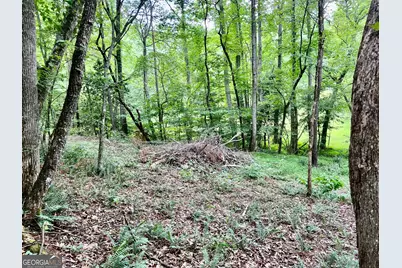 Lot 3 Lower Fox Trail, Blairsville, GA 30512 - Photo 11