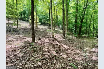 Lot 3 Lower Fox Trail, Blairsville, GA 30512 - Photo 3