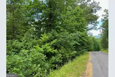 Lot 3 Lower Fox Trail, Blairsville, GA 30512 - Photo 15