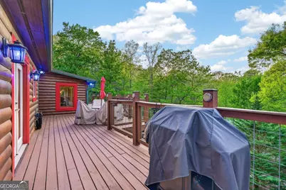 19 The Forest Road #35, Blue Ridge, GA 30513 - Photo 59
