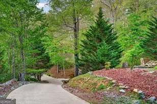 19 The Forest Road, Blue Ridge, GA 30513 - Photo 55