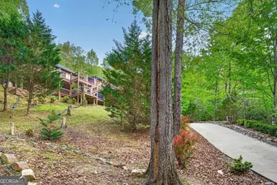 19 The Forest Road #35, Blue Ridge, GA 30513 - Photo 73
