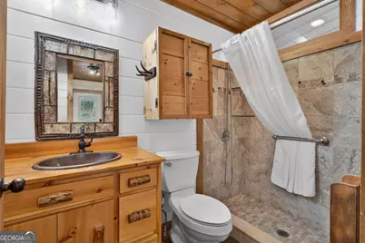 19 The Forest Road #35, Blue Ridge, GA 30513 - Photo 25