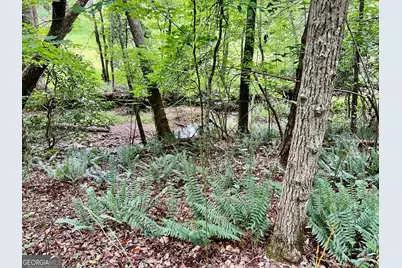 Lot 4 Lower Fox Trail, Blairsville, GA 30512 - Photo 7