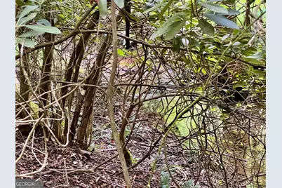 Lot 4 Lower Fox Trail, Blairsville, GA 30512 - Photo 13