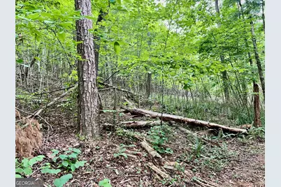 Lot 4 Lower Fox Trail, Blairsville, GA 30512 - Photo 5
