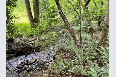 Lot 4 Lower Fox Trail, Blairsville, GA 30512 - Photo 1