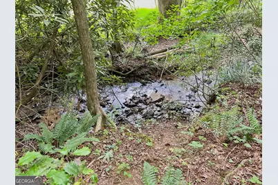 Lot 4 Lower Fox Trail, Blairsville, GA 30512 - Photo 9