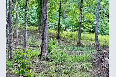 Lot 4 Lower Fox Trail, Blairsville, GA 30512 - Photo 17