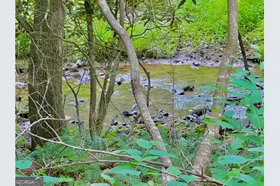 Lot 4 Lower Fox Trail, Blairsville, GA 30512 - Photo 3