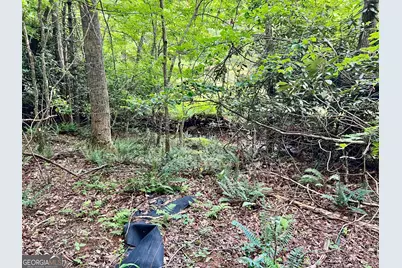 Lot 4 Lower Fox Trail, Blairsville, GA 30512 - Photo 15