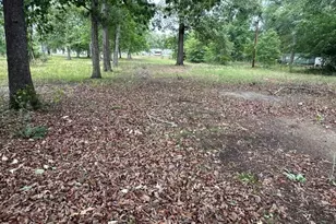 308 Three Rivers Ln, Uvalda, GA 30473 - Photo 25