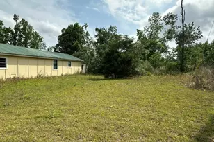 308 Three Rivers Ln, Uvalda, GA 30473 - Photo 21