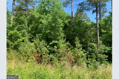 1208 Hornets Bridge Drive, Elberton, GA 30635 - Photo 9