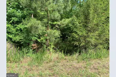 1208 Hornets Bridge Drive, Elberton, GA 30635 - Photo 7