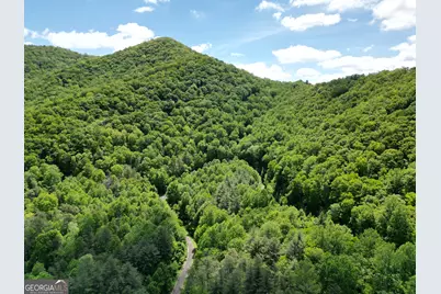 0 Shake Hollow, Rabun Gap, GA 30568 - Photo 11