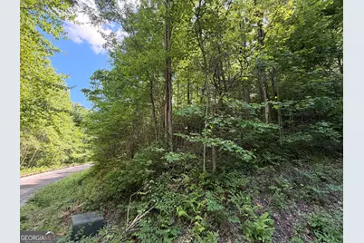 0 Shake Hollow, Rabun Gap, GA 30568 - Photo 5