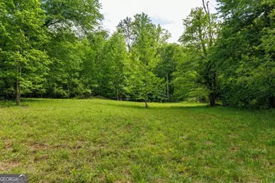 0 Galloway Road, Blue Ridge, GA 30513 - Photo 9